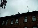 Bild1192