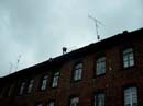 Bild1193