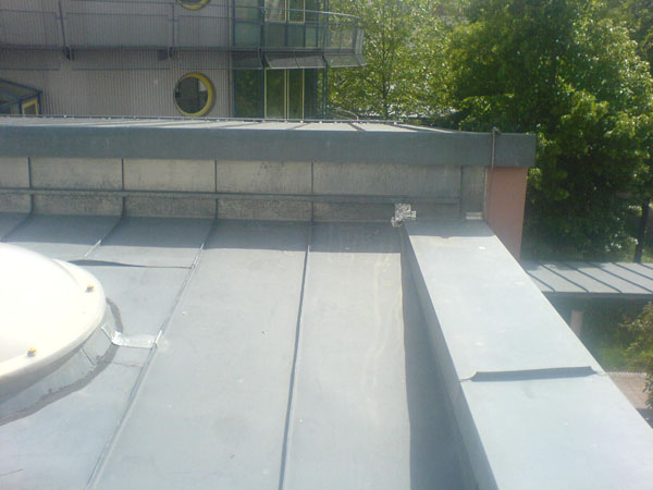 DSC00346